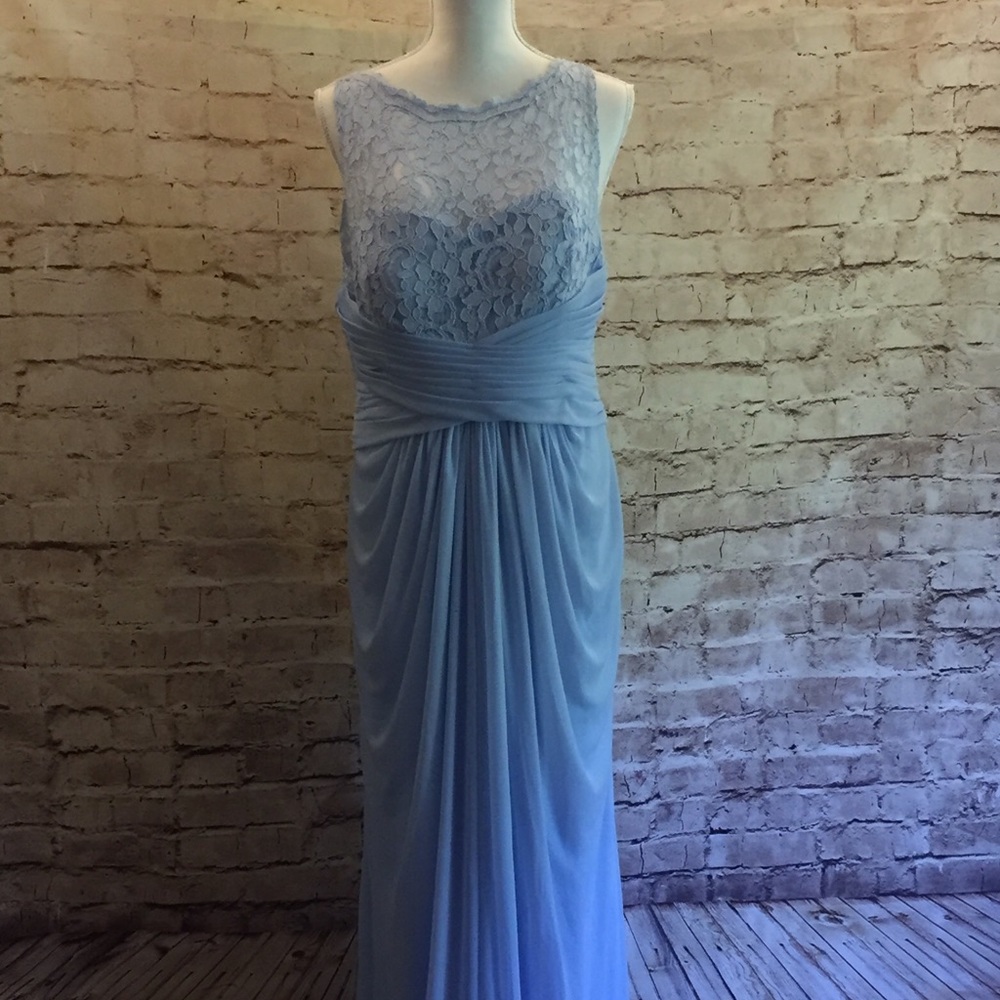 Sleeveless Long Mesh Dress with Corded Lace
